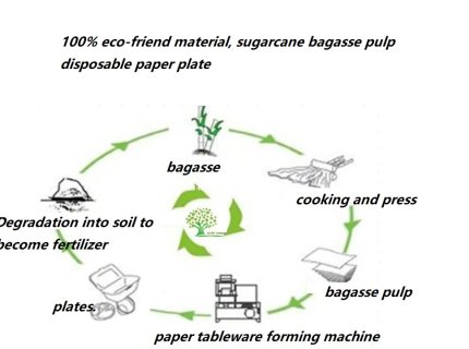 Bagasse Pulp Making Machine China