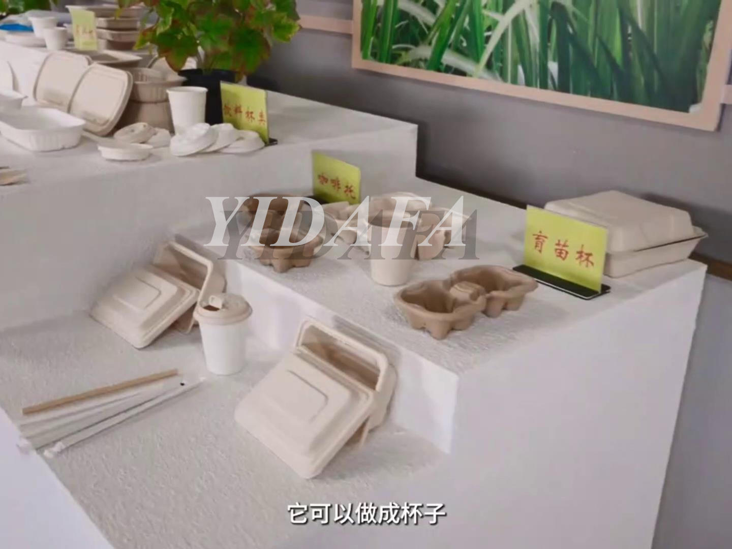PAPER PLATE MACHINE (1)